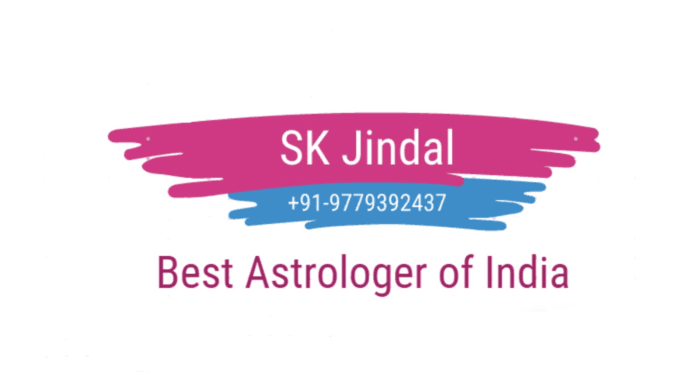 Expert astrologer Lal Kitab Vedic+91-9779392437