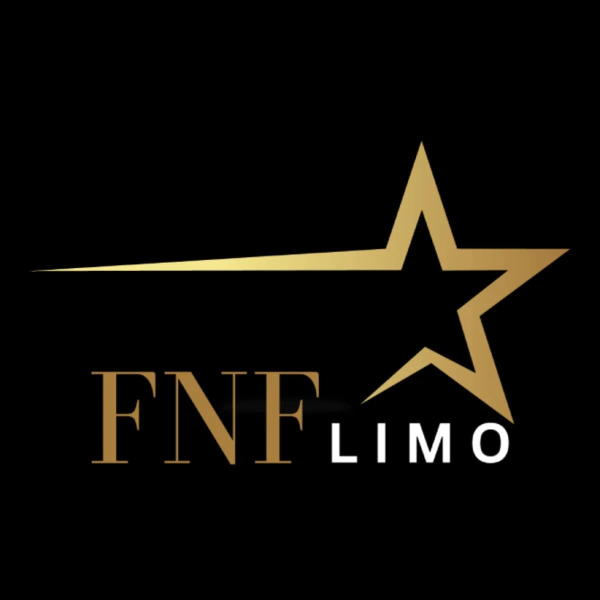 FNF Toronto Limousine Inc