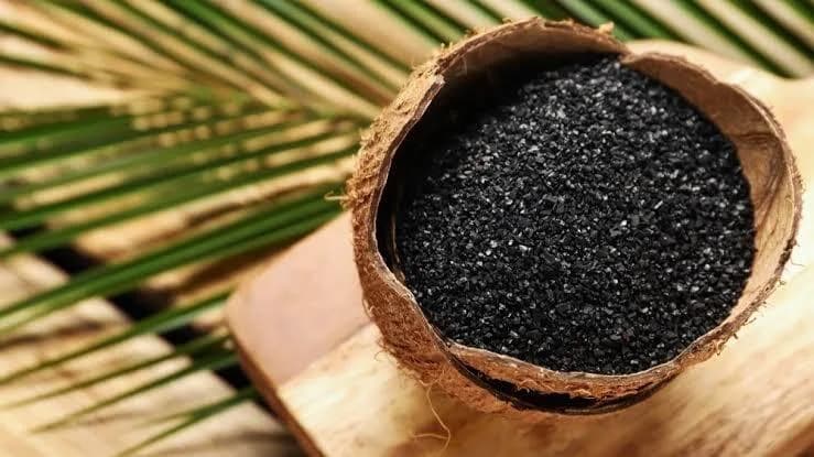 Coconut Shell Activated Carbon