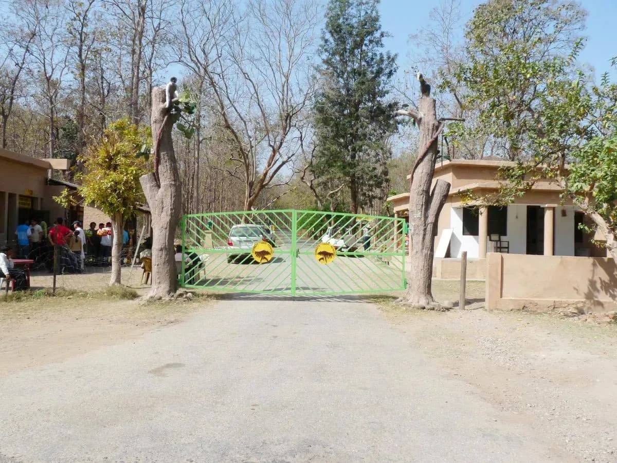 Inside the Wild Rhythm of Bijrani Zone in Jim Corbett National Park