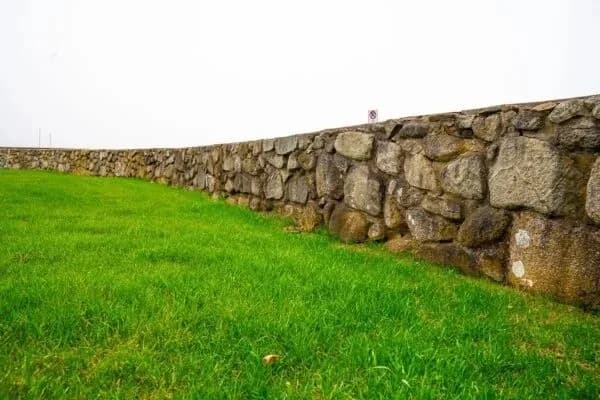 Build a Thicker, Greener Lawn This Season