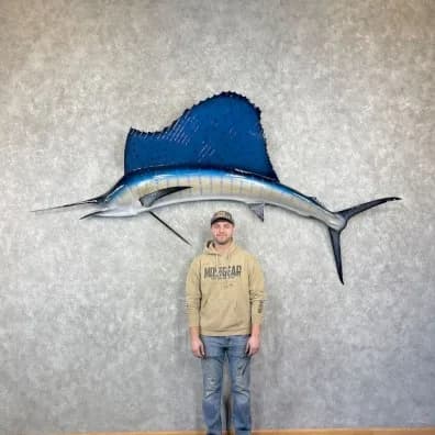 Atlantic Sailfish Taxidermy Fish Mount for Sale .