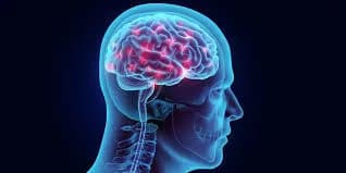 Trusted Brain Hemorrhage Operation with Expert Neuro Care | IR Facilities