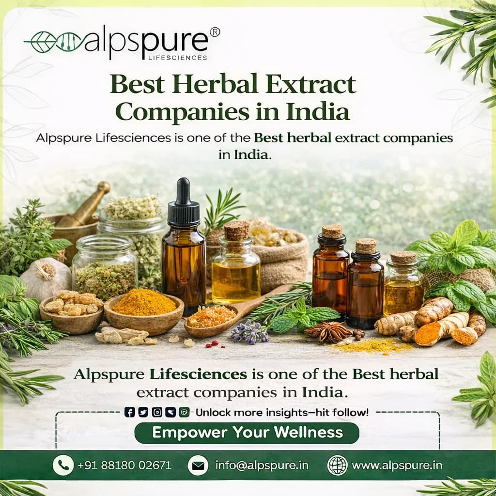 Herbal extract manufacturers in india