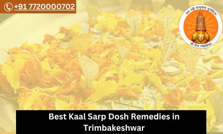 Best Kaal Sarp Dosh Remedies in Trimbakeshwar