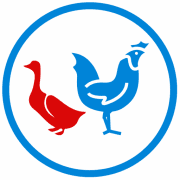 Highland Poultry