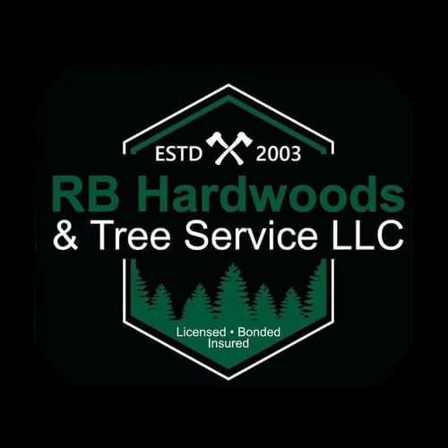 Tree Climbing Services in Branson, Missouri