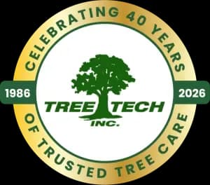 Dependable Tree Contractors Near Me for Complete Tree Services