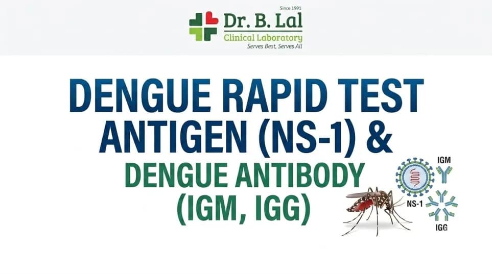 Dengue Rapid Test in Jaipur | Differentiate Primary & Secondary Infection