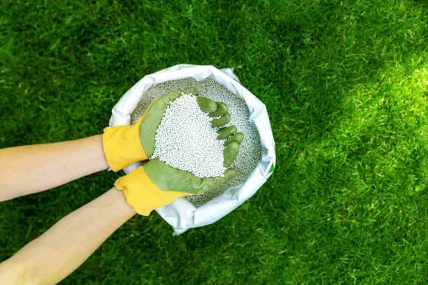 Transform Your Yard with Expert Lawn Fertilization Services in Saginaw, MI