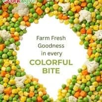 QF Frozen Mixed Vegetables – Wholesale Supplier India