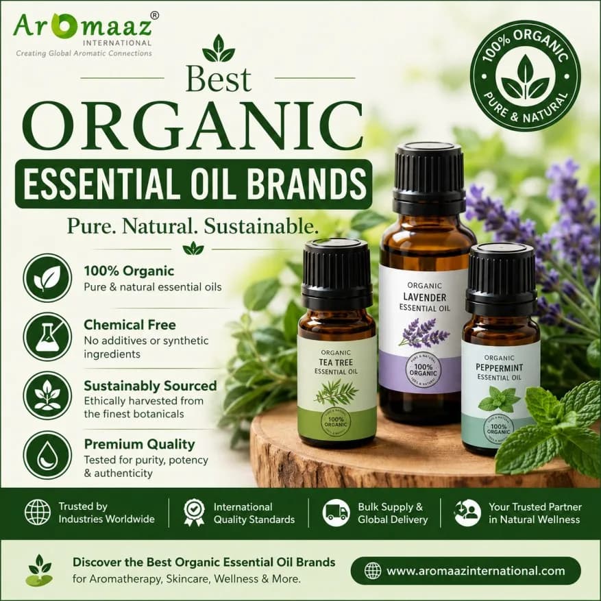 Best Organic Essential Oil Brands | Pure and Premium Quality Oils