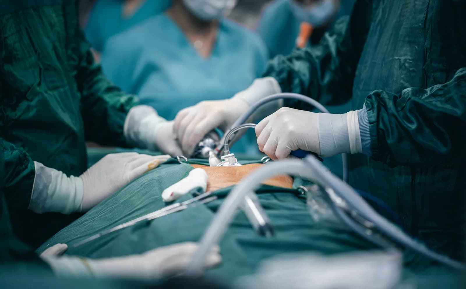 Shoulder Surgeon in Edgewater