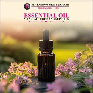 Essential Oil Manufacturer and Supplier
