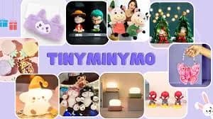Shop Beautiful Rakhis Online at TinyMinyMo