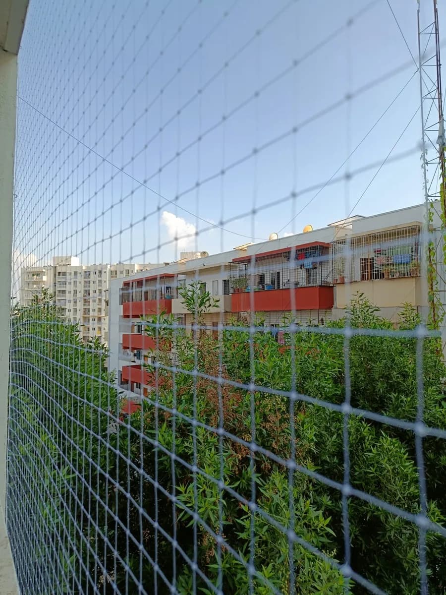 Pigeon Safety Nets in Bangalore Rs 15-35/Sq Ft  EverSafe