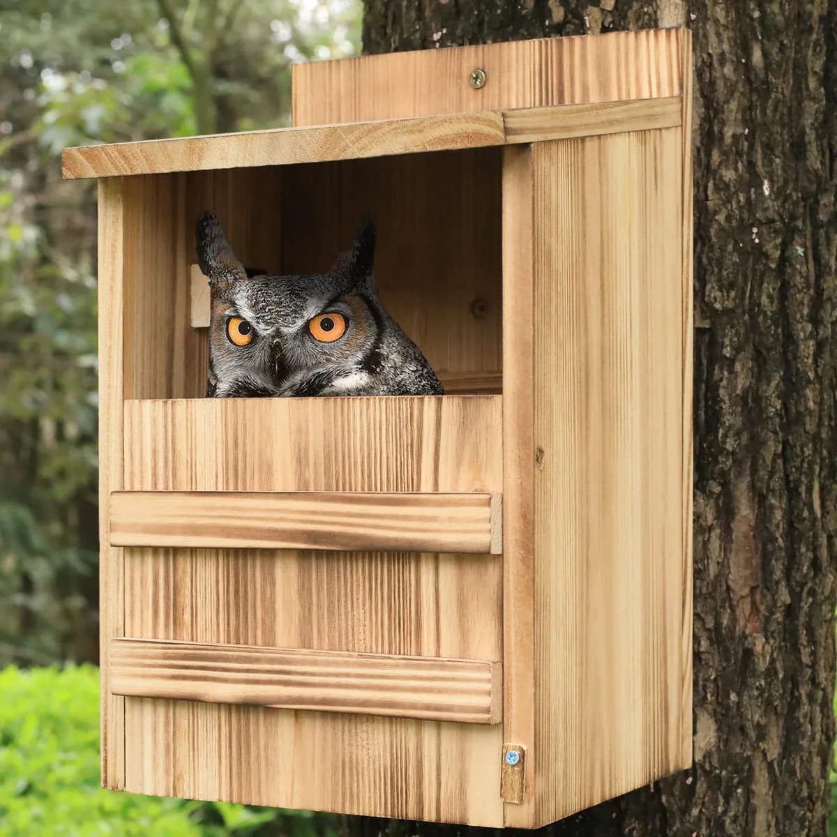 Natural Nesting Solutions for Farms with Owl Box for Barn Owl