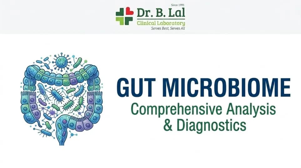 Doctor Recommended Gut Microbiome Screening | Preventive Health Test