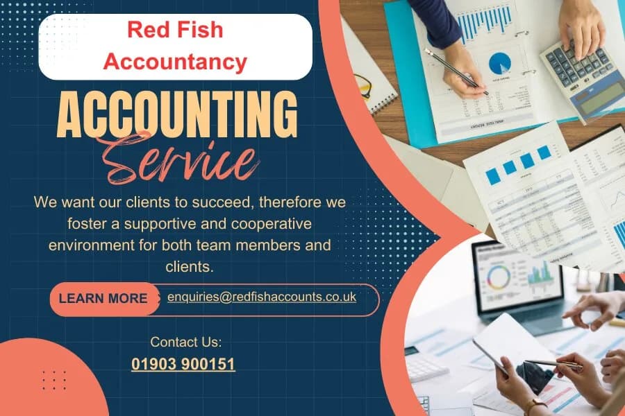 Red Fish Accountancy Services in Horsham