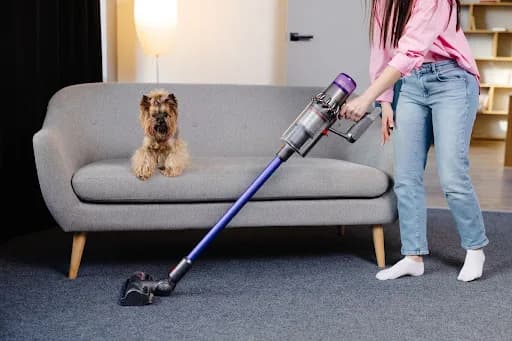 5 Vacuums That Make Pet Hair Cleanup Easier | Gator Vacuum