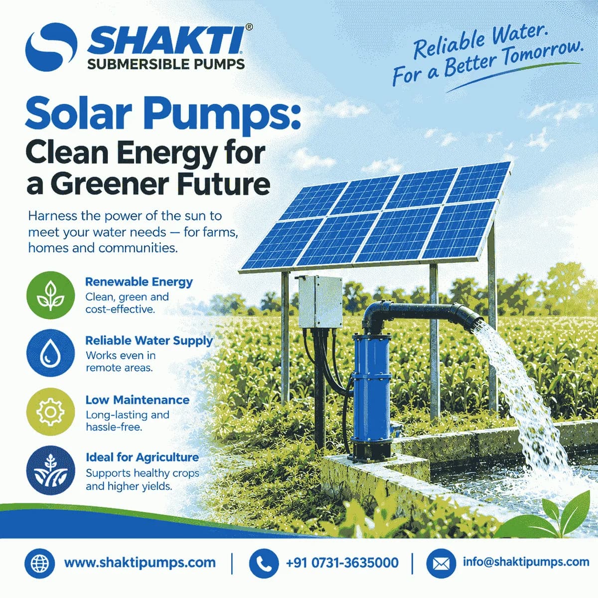 Solar Pumps : Reliable Water from Sunlight