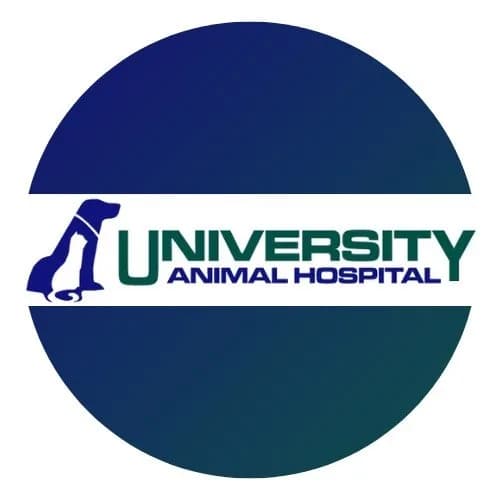 University Animal Hospital