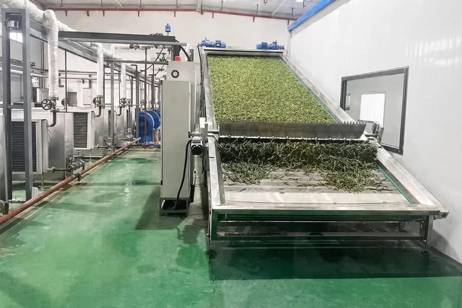 Seaweed Belt Dryer - High-volume seaweed drying without the bottleneck.