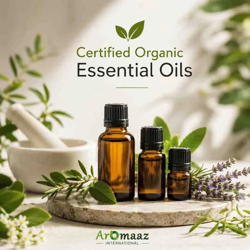 Certified Organic Essential Oils | Premium Bulk Supply by Aromaaz International