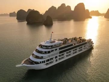 Does the Average Age of Saga Cruise Passengers Affect the Onboard Experience?
