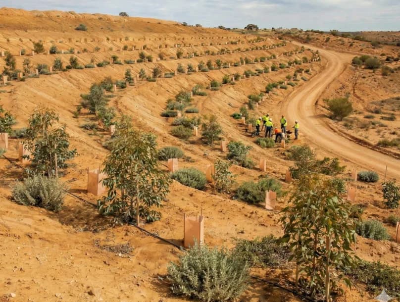 Mine Land Rehabilitation Queensland - Hydromulch Australia