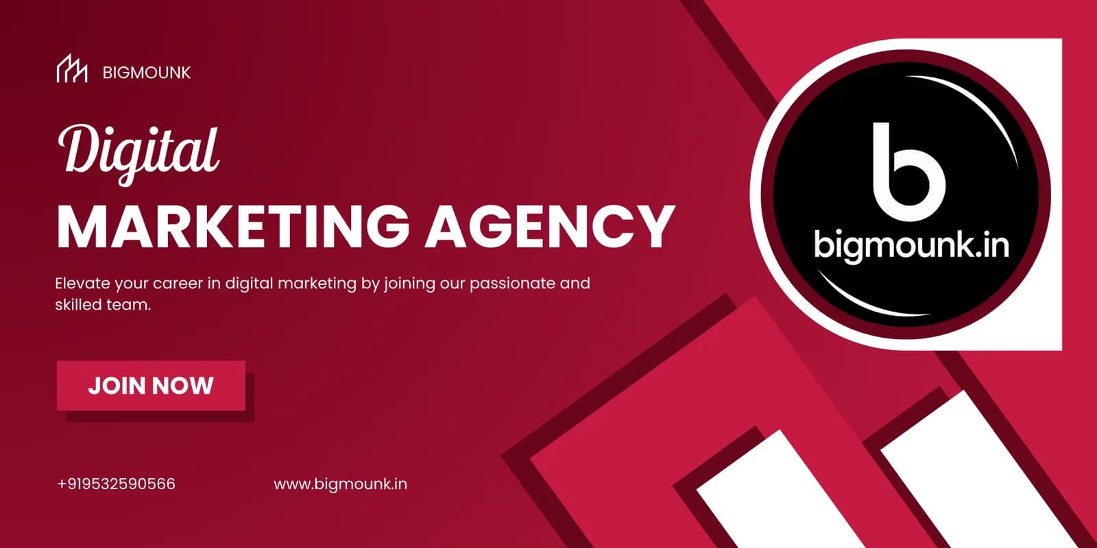 BigMounk – Your Trusted Digital Marketing Agency
