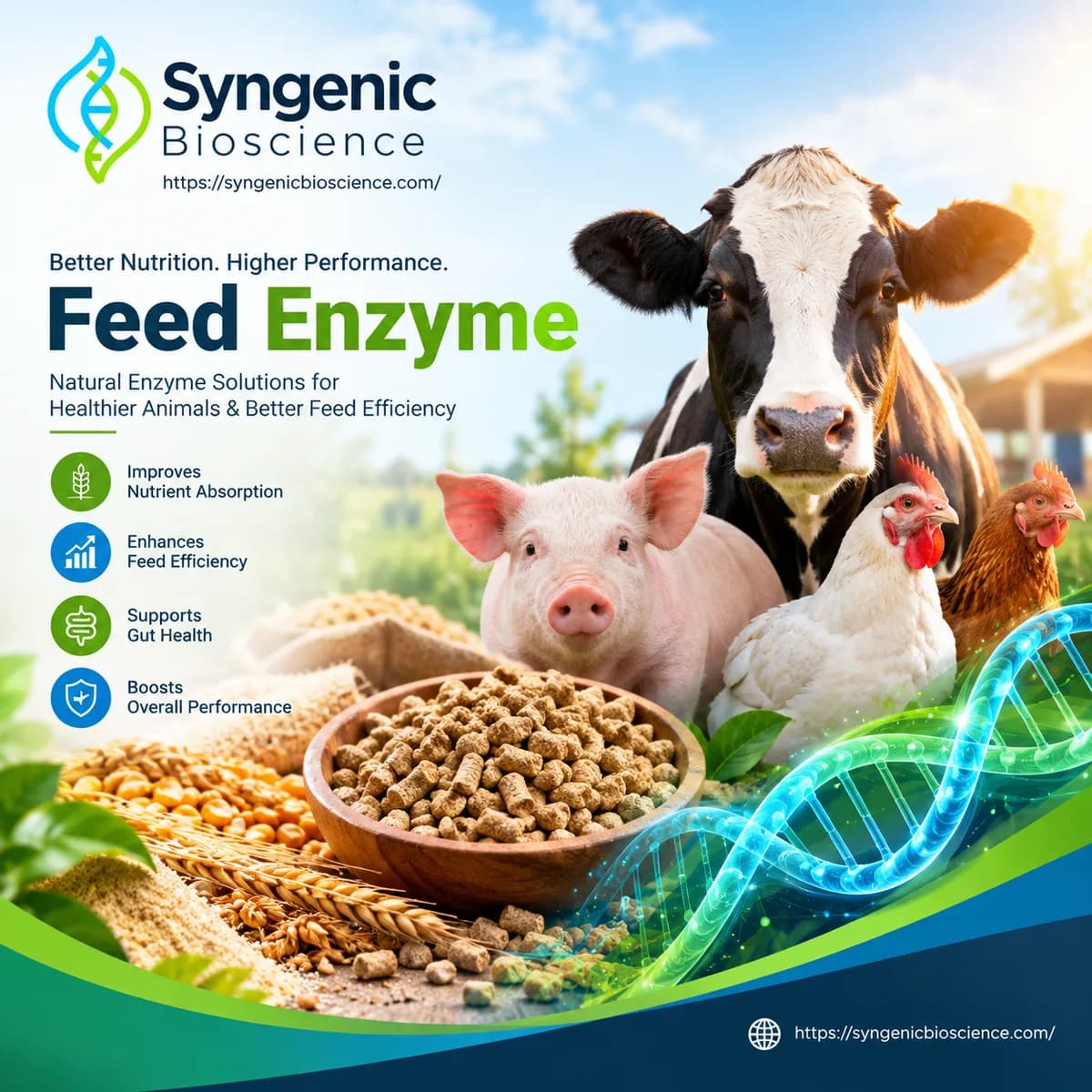 Feed Enzyme Manufacturer in India for Improved Feed Processing and Nutrient Utilisation