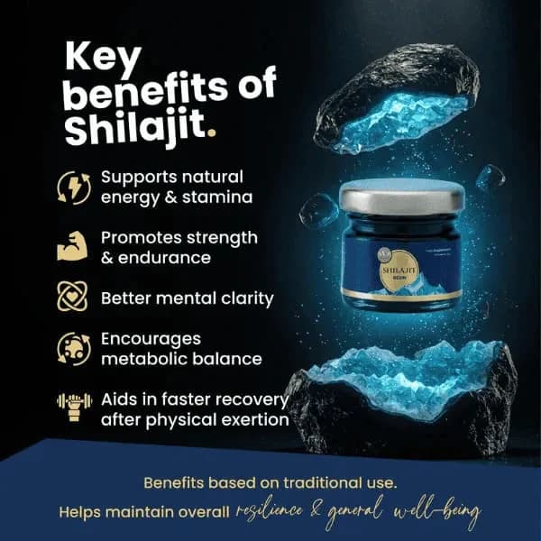 Authentic Shilajit Resin – Daily Vitality Support