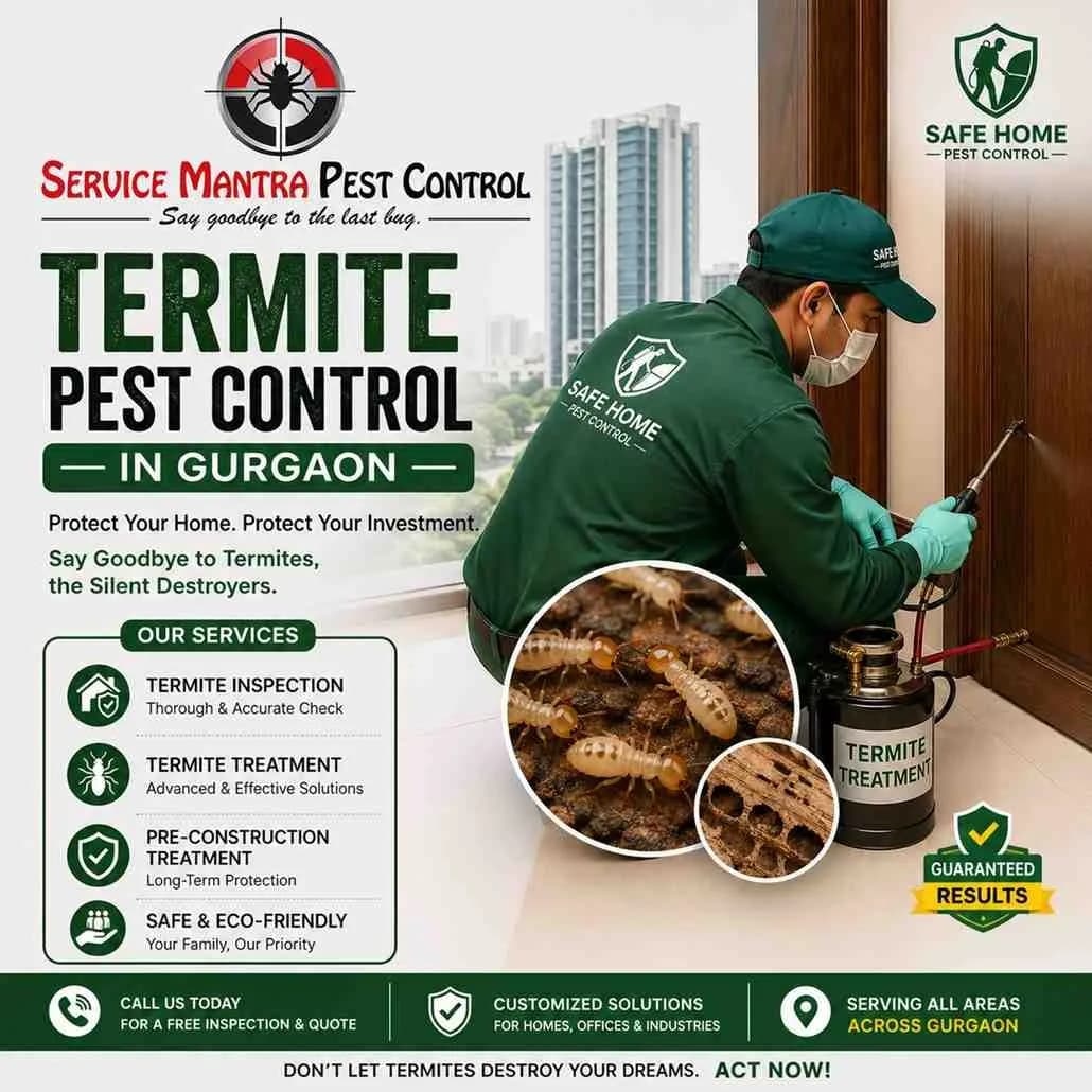 Residential & Commercial Termite Pest Control in Gurgaon | Service Mantra