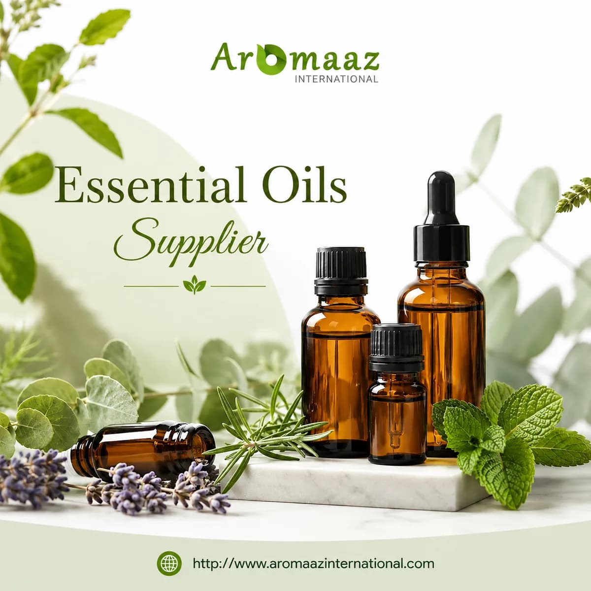 Looking for a Trusted Essential Oils Supplier for Premium Quality Oils?