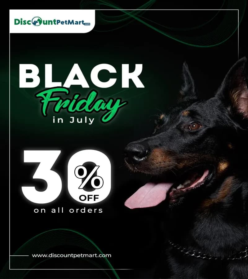 Black Friday in July – Get 30% OFF All Pet Supplies at DiscountPetMart