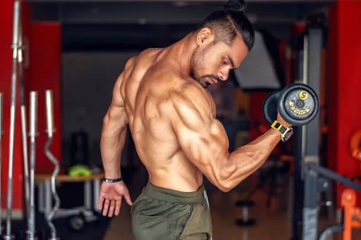 Fitness Modeling: Essential Steps to Build a Successful Modeling Career | Studio 1