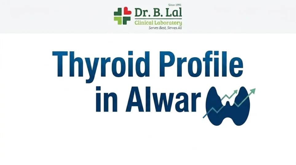 Book Thyroid Profile Test Online in Alwar | Simple & Convenient | Dr. B. Lal Lab