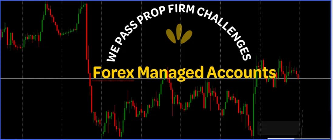 We Help Traders to get Funded Accounts on Prop Firms