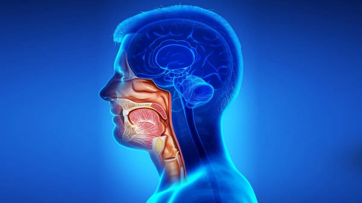 Specialized Head & Neck Cancer Treatment in Noida by Expert