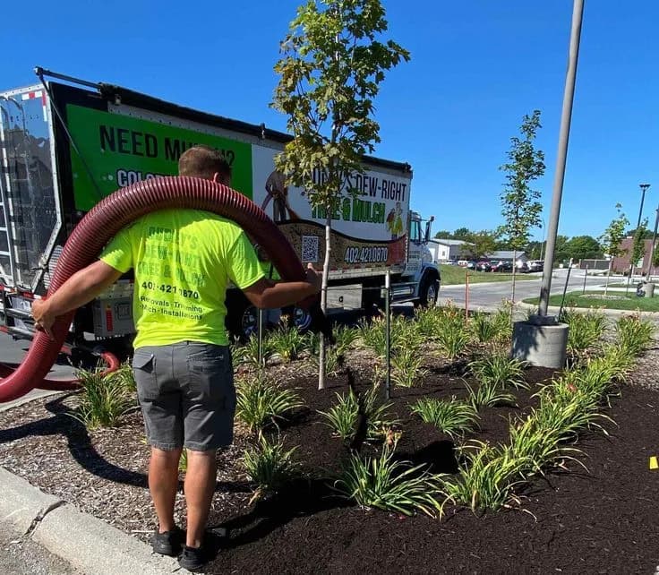 Wood Chipping Services in Buffalo NY for Clean Yard Waste Removal