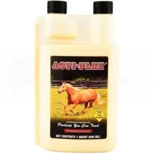 Affordable pet supplies online