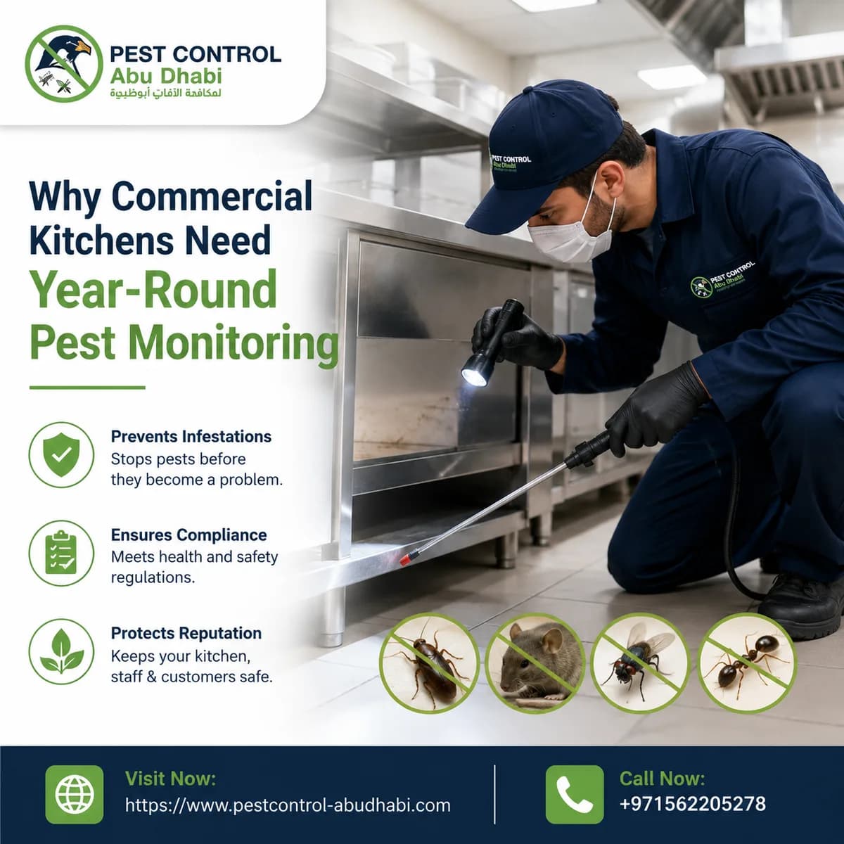 Why Commercial Kitchens Need Year-Round Pest Monitoring