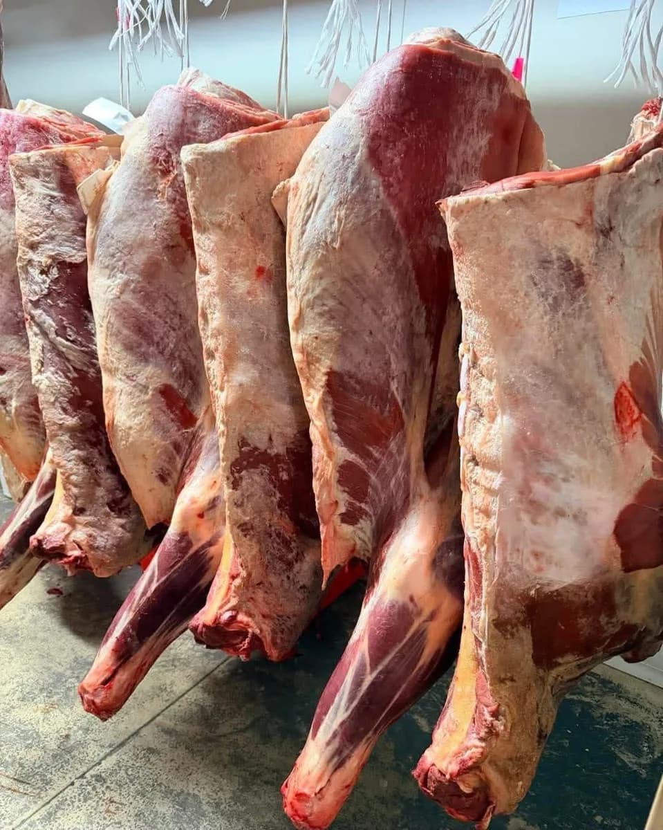 Halal meat delivery from Sydney to all of Australia, at depot prices