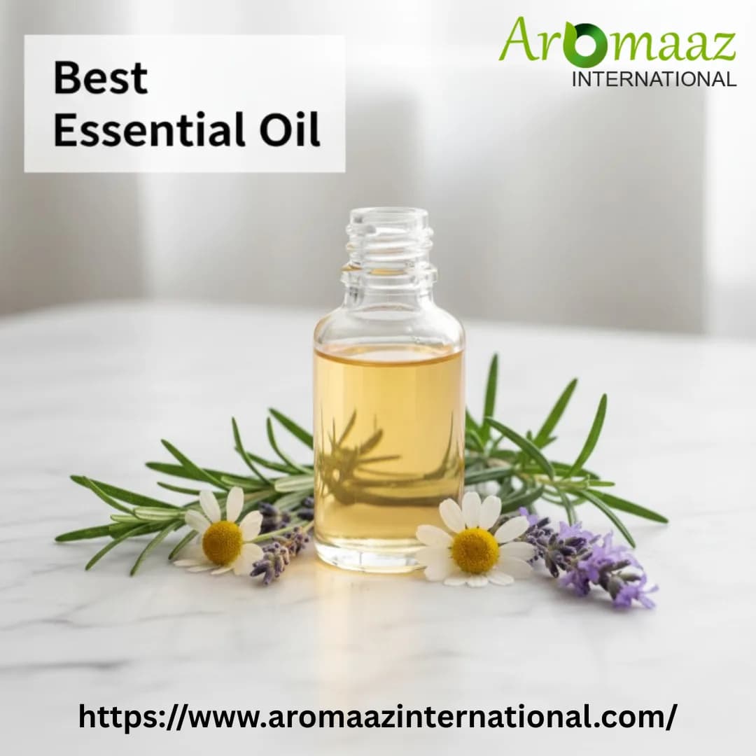 Best Essential Oils for Wholesale and Bulk Supply