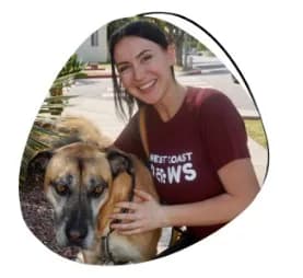 Pet Sitter Long Beach for Peace of Mind | Westcoastpaws