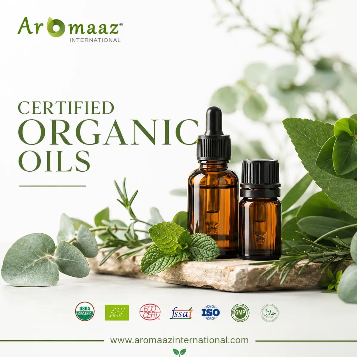 Searching for Pure Certified Organic Oils for Your Business