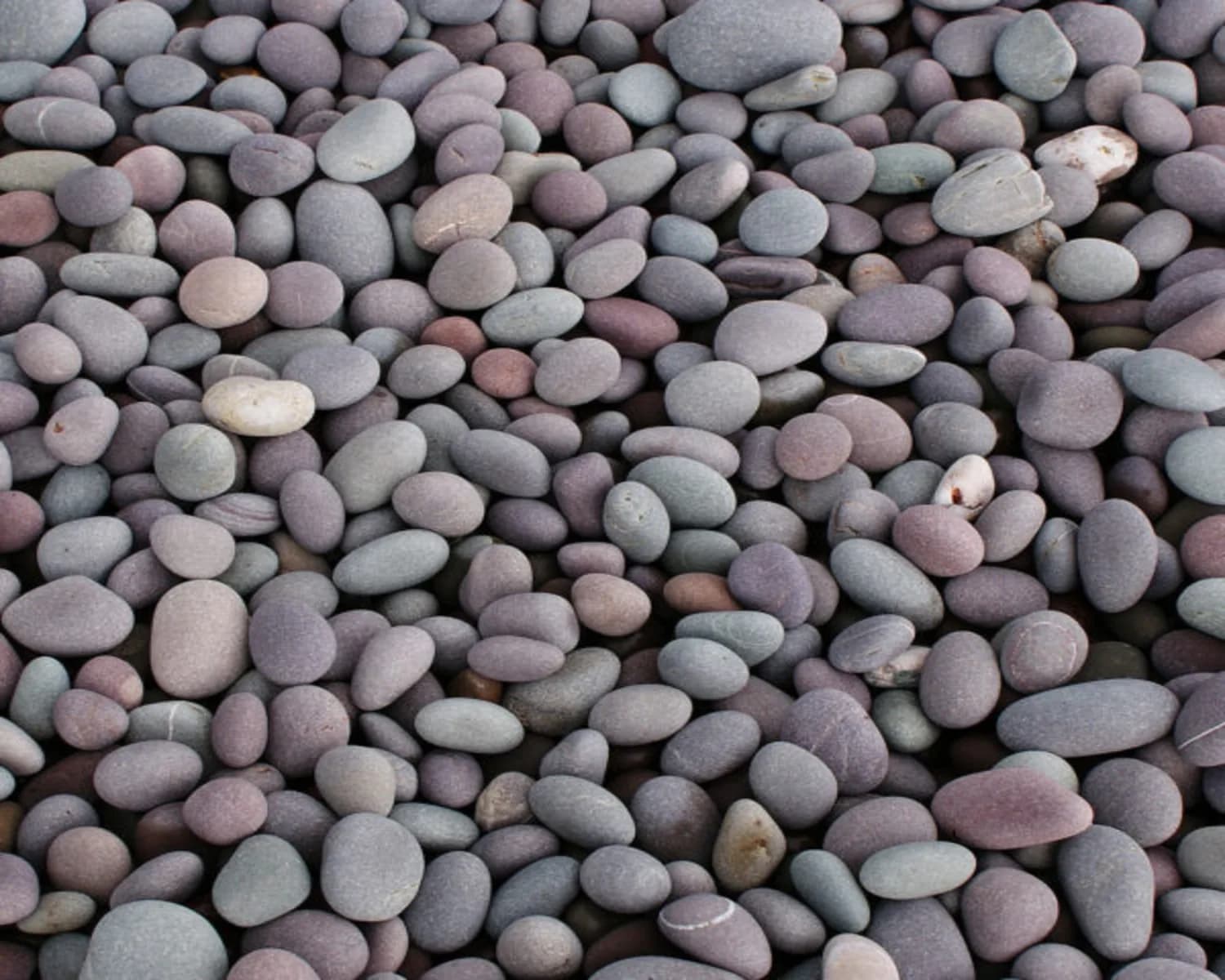 Pebbles for Landscaping: A Simple Way to Transform Outdoor Spaces