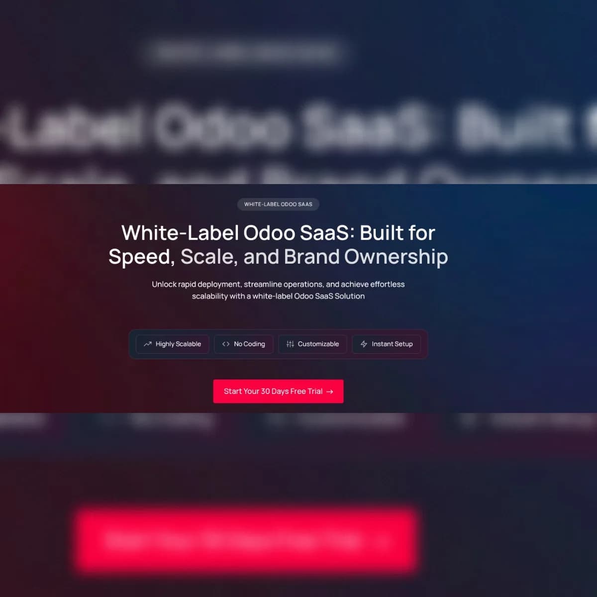 Branded Cloud Scaling: Whitelabel Odoo SaaS Development Service