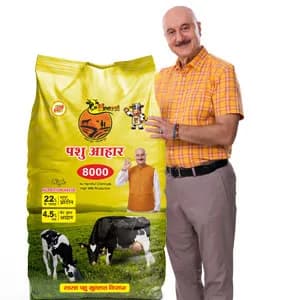 Best Nutrients Pashuahar Manufacturer for Healthy Cattle Feed